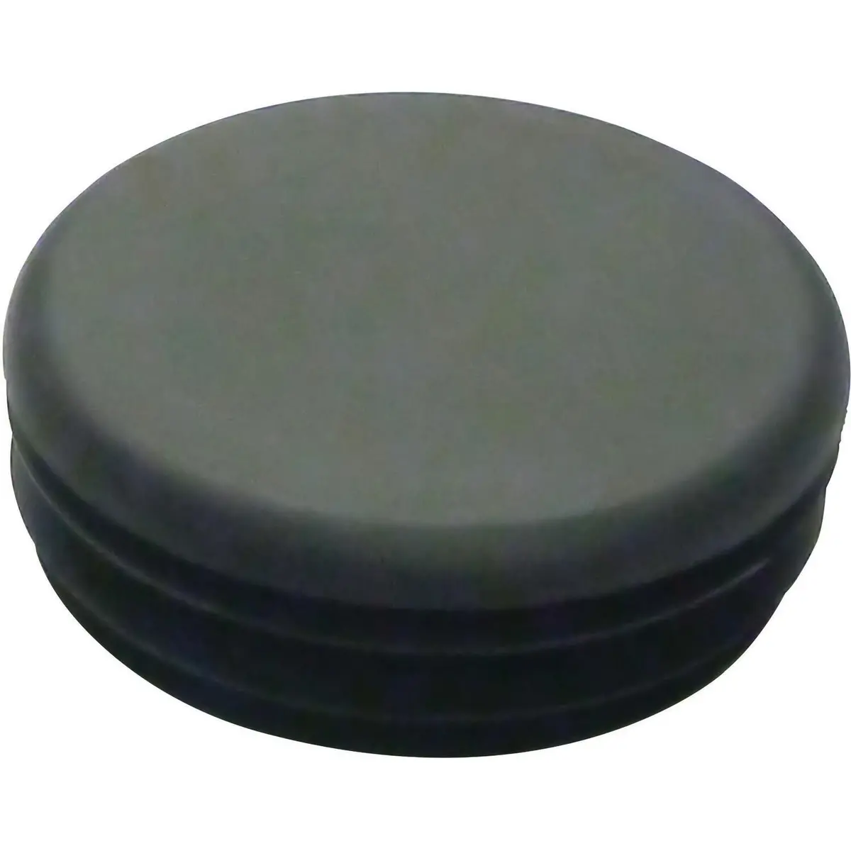 Westin 80-0001 E-Series 3 End Cap 1